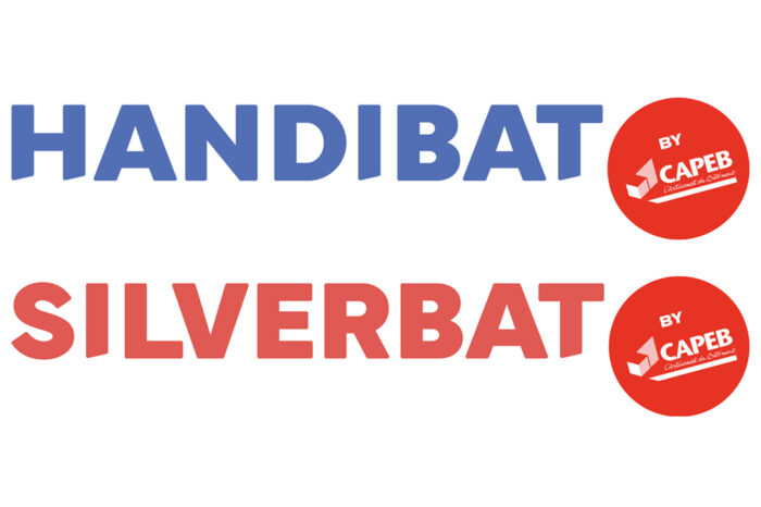 LogosHandibatSilverbat